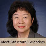 LINK: Meet Structural Scientists